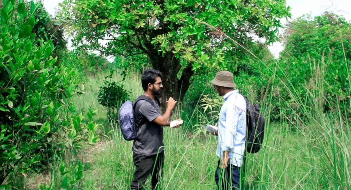 সিলেট কৃষি বিশ্ববিদ্যালয়